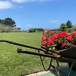 Apartment Dragunara Alghero