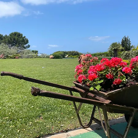 Apartmán Dragunara Alghero